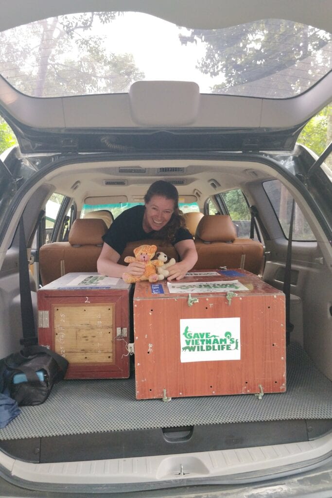 debbie in the back of the svw car with the pangolin crates