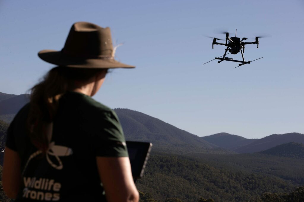 Wildlife Drones Team member flying a drone