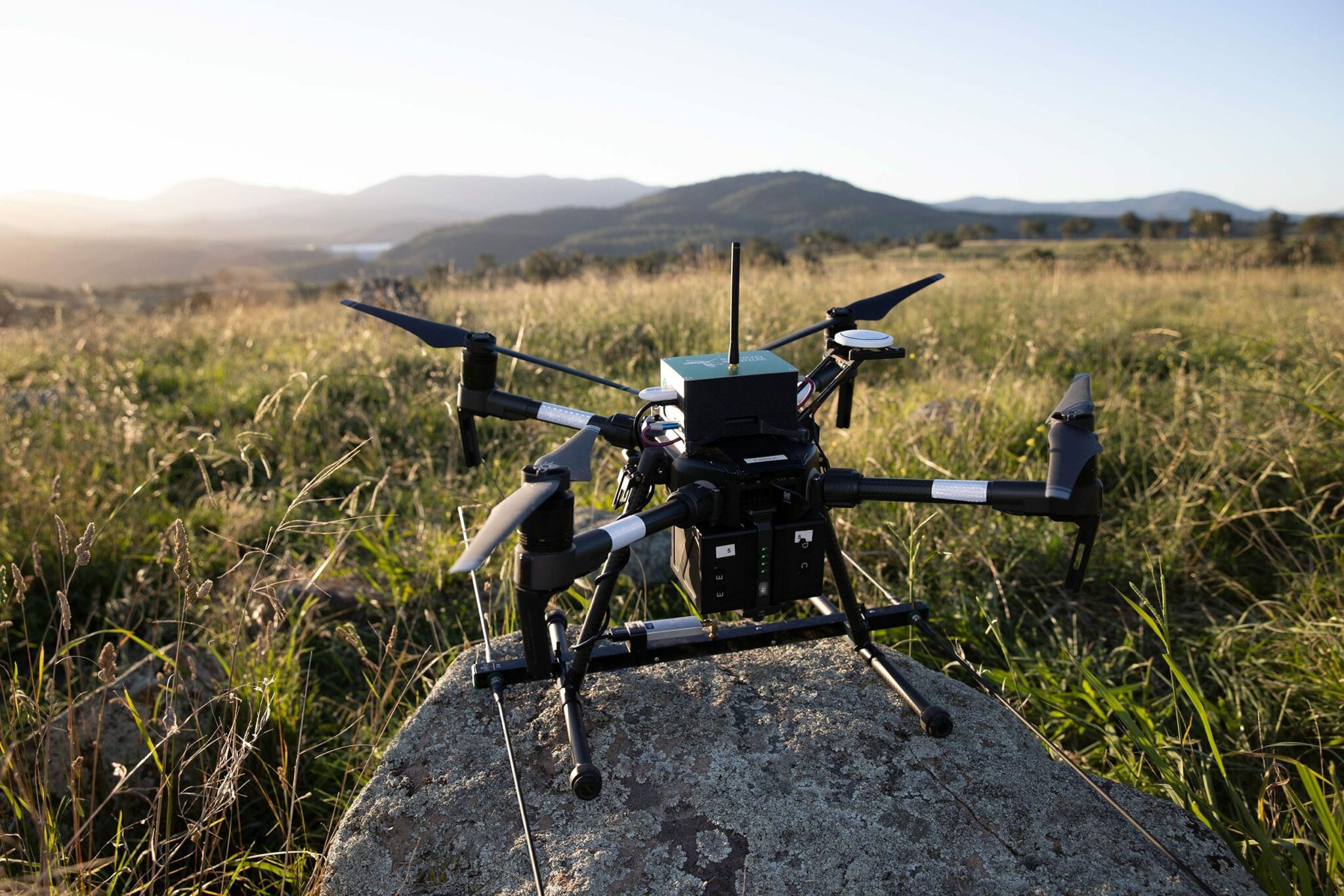 Radio-tracking - Learn how drone-based wildlife telemetry works