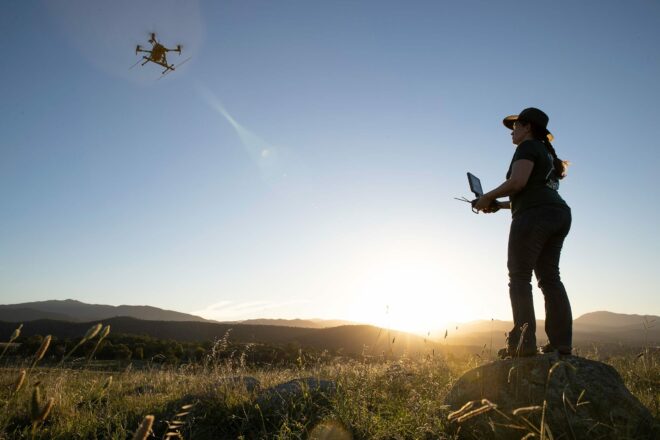 Wildlife Drones - Take your animal tracking to new heights