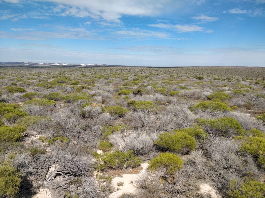 Dirk Hartog Island landscape with blue skies and short scrubland