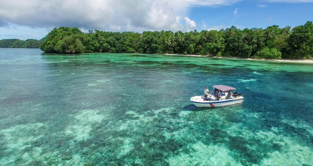 View of Ngeanges Island, Palau, from a Drone - Island Conservation
