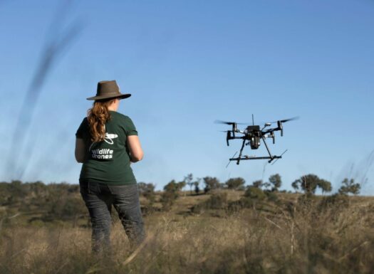 Debbie Saunders Wildlife Drones wetlands