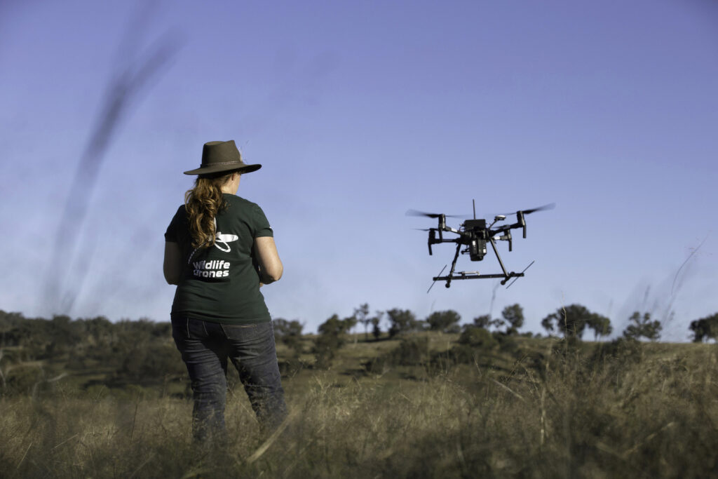 Dr Debbie Saunders flying Drone to locate invasive species