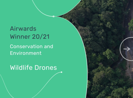 Wildlife Drones Airwards Winner 2021