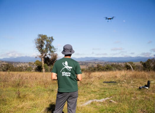 Wildlife Drones Phil flying Astro Drone