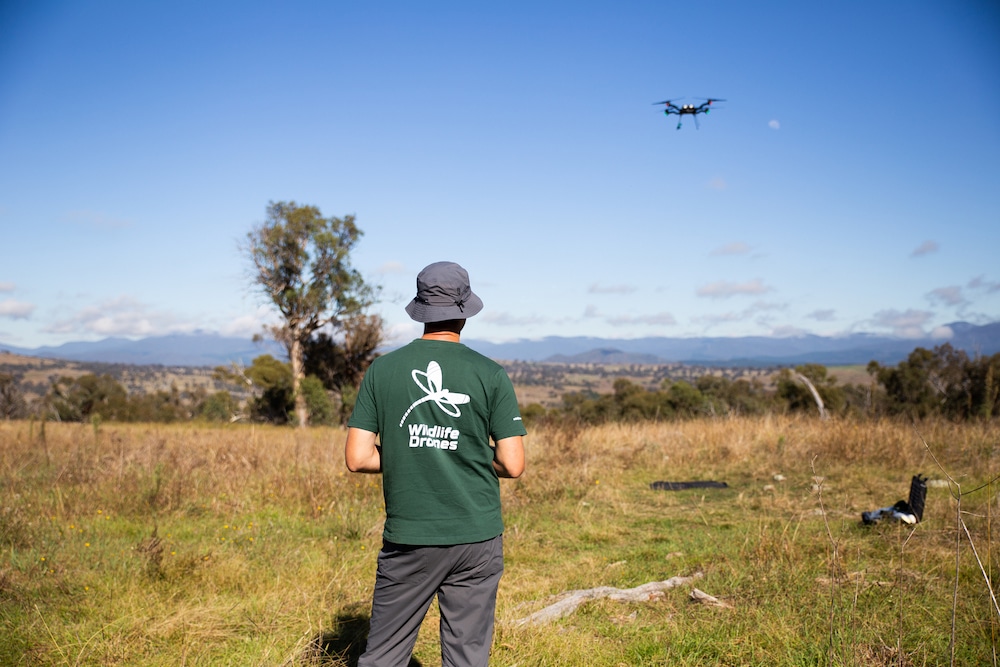 Wildlife Drones Phil flying Astro Drone
