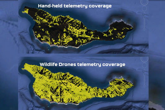 Wildlife Drones coverage Island Infographic