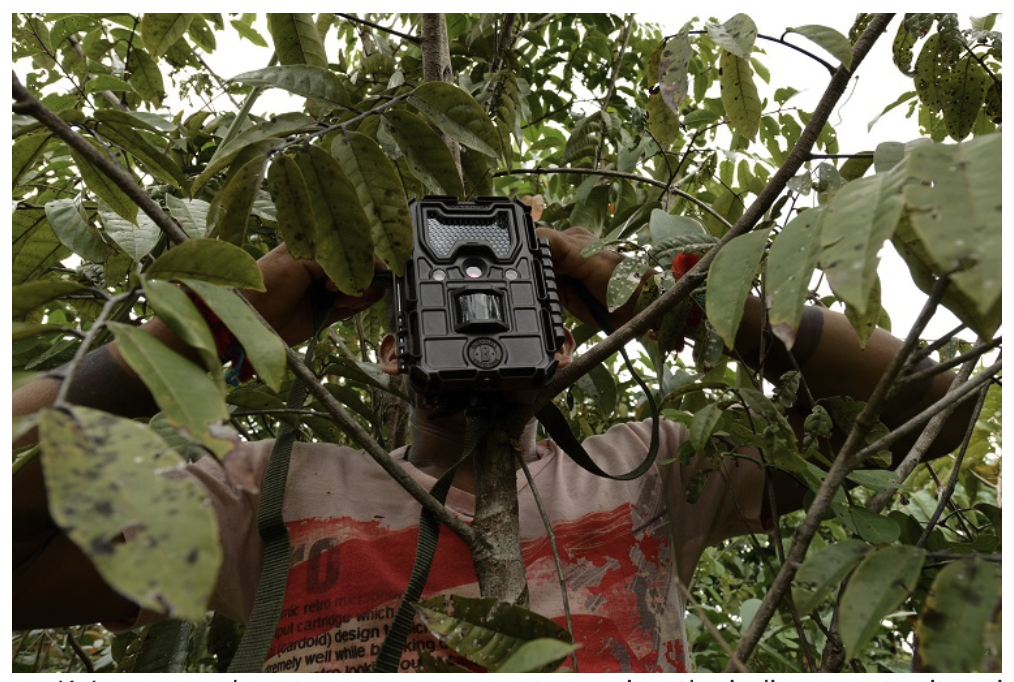 Ka’apor people set up trap cameras to monitor the indigenous territory