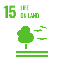 Wildlife Drones_SDG 15 Life on Land