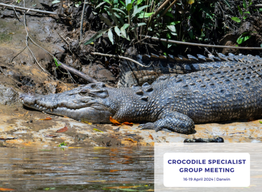 Wildlife Drones Crocodile Specialist Group 2024